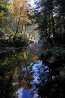 Bushkill Falls