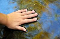 Tumbling Waters / Elisa's Hand