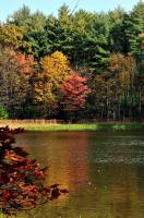 Tumbling Waters Pickeral Pond