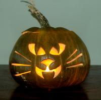 Scary Cat Pumpkin