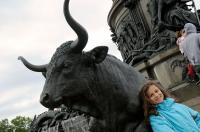 Elisa, and that's no BULL