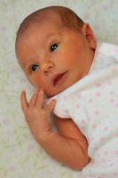 Elena Grace Macera