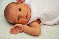 Elena Grace Macera
