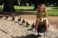 Elisa & the Ducks