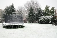 First Snow, 2011 / Trampoline