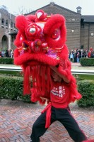 Dragon Dance Chinese New Year 2012