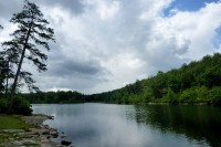 Catfish Pond