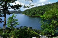 Vista overlooking Sunfish Pond